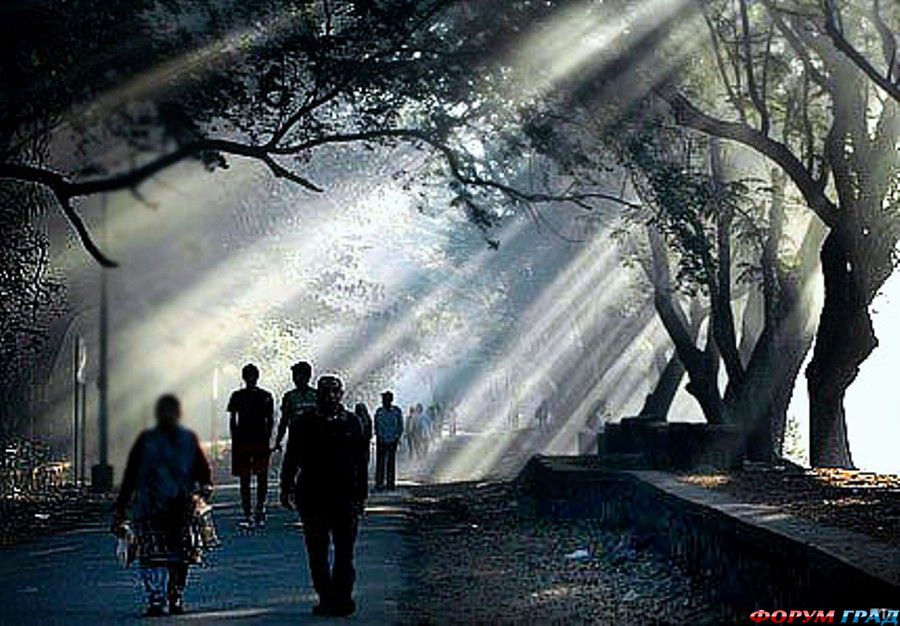 at-the-lake-kolkata-34