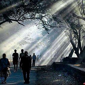 at-the-lake-kolkata-34