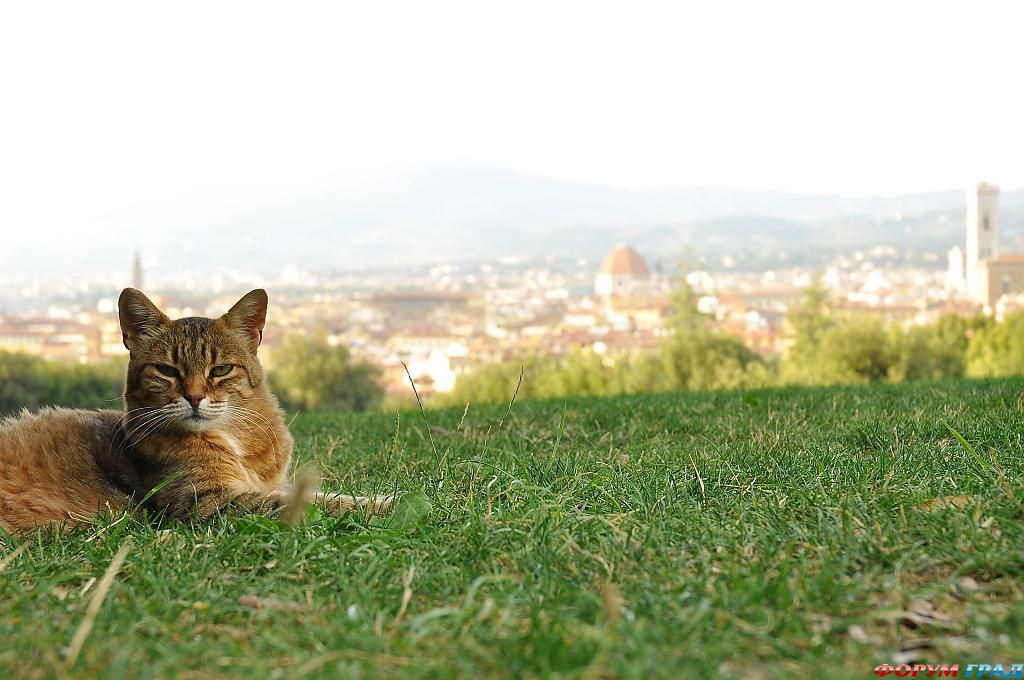 at-the-top-of-the-city-35