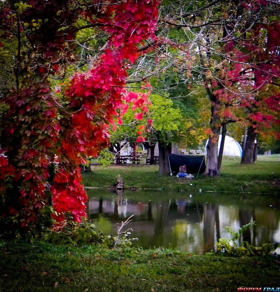 beautiful-retreat-54