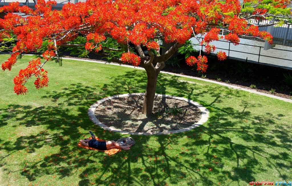 break-under-the-tree-76