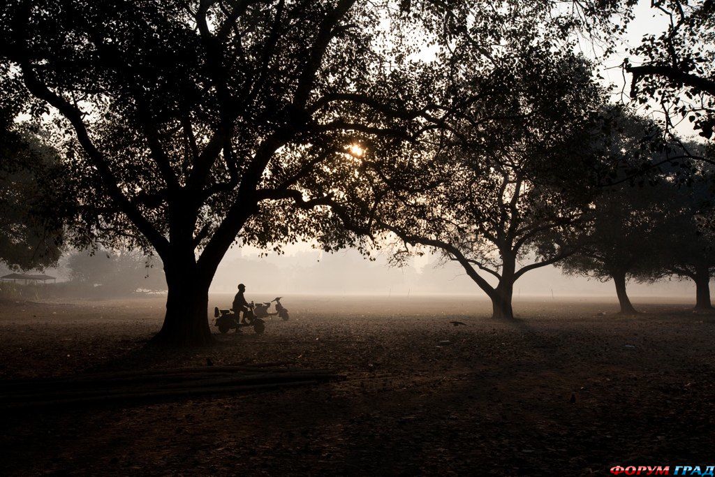 calcutta-calling-sunrise-silhouttes-86