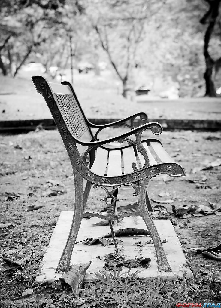 empty-bench-b158
