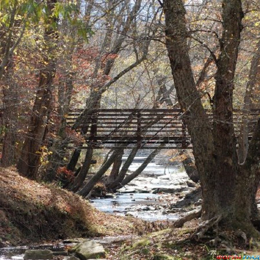 evening-in-the-park-162