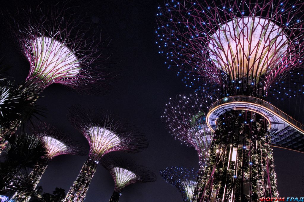 garden-by-the-bay-i201