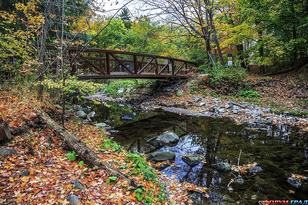 garden-in-the-city-203