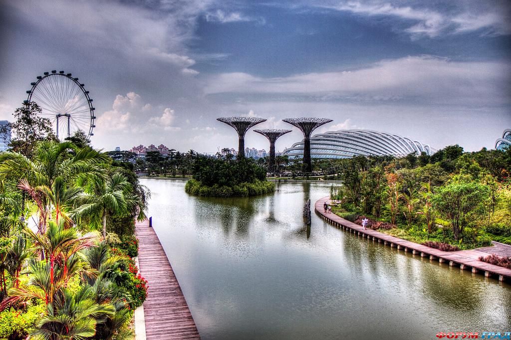 gardens-by-the-bay-a206