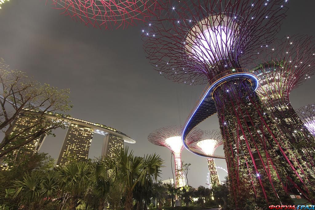 gardens-by-the-bay-singapore-211