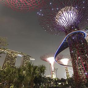 gardens-by-the-bay-singapore-211
