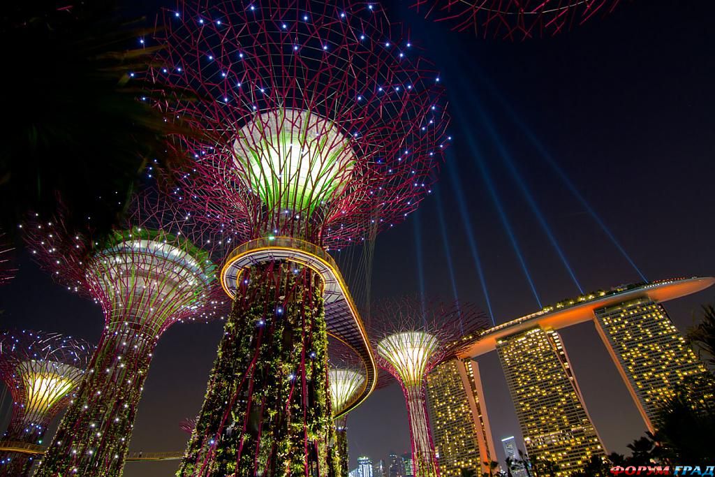 gardens-of-the-bay-at-night-213