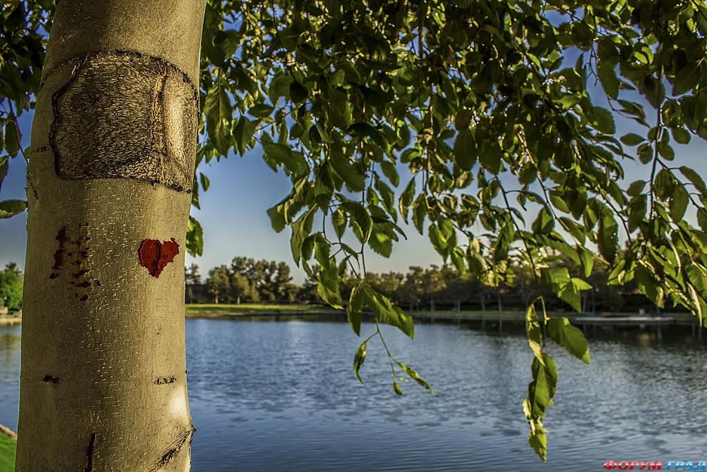 give-peace-a-chance-220