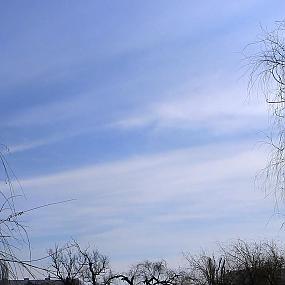 iorbucuresti-romania-b260