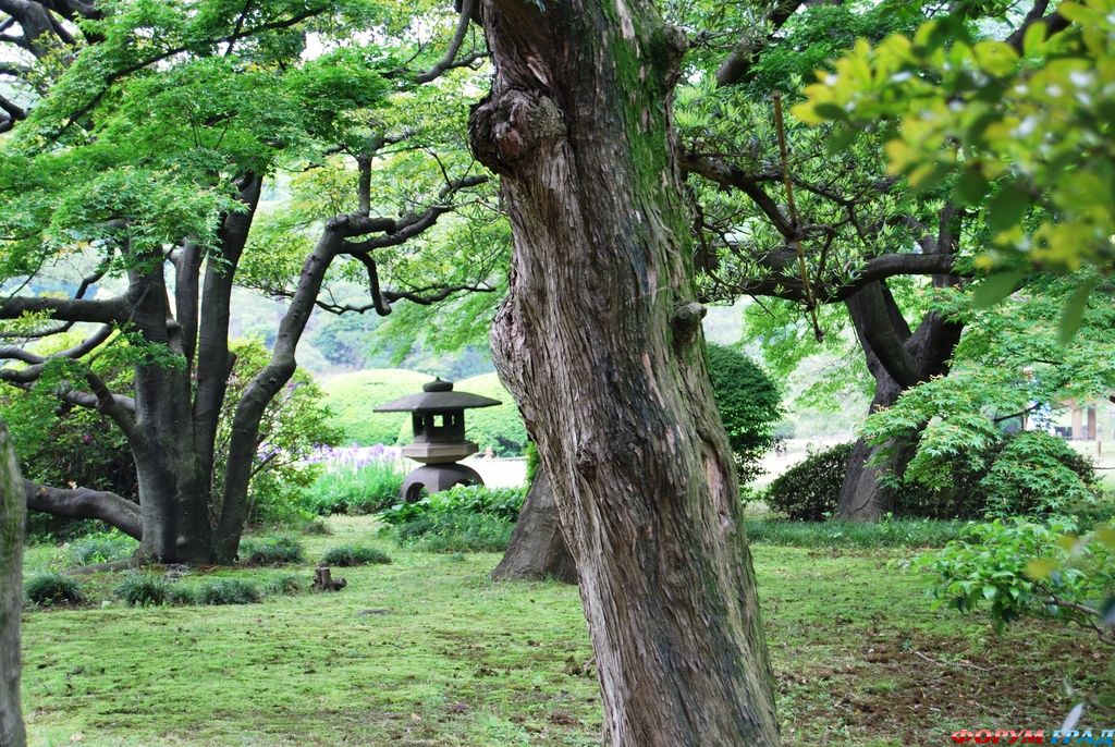 japanese-garden-267