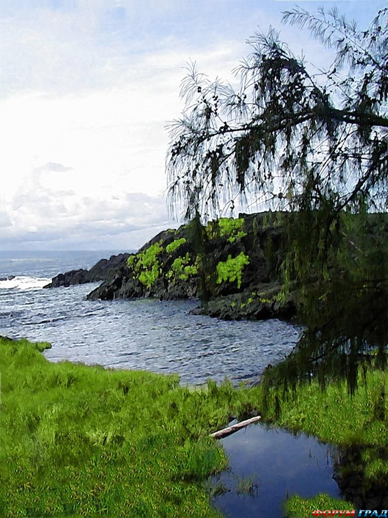 leleiwi-beach-park-298