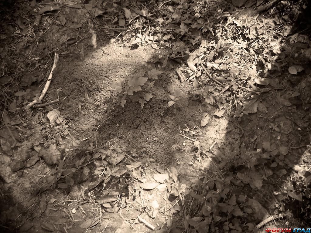 light-on-the-path-301