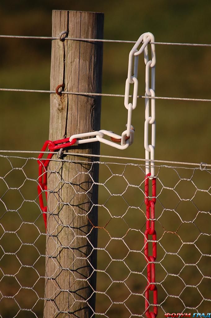 links---red-white-305