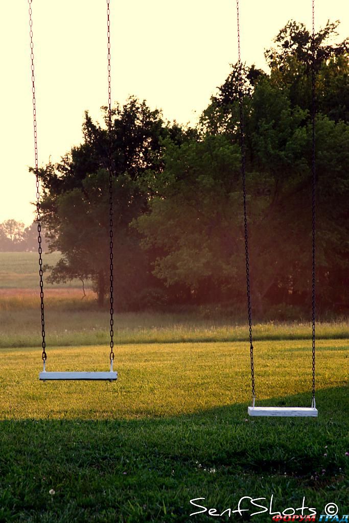 misty-swing-352