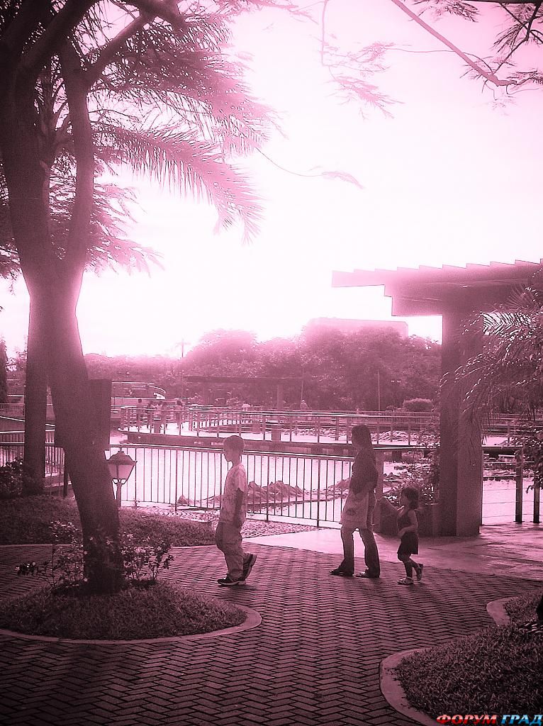 olympus-digital-camera-391