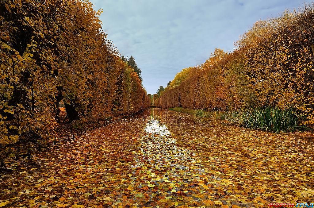 park-in-gdansk-408