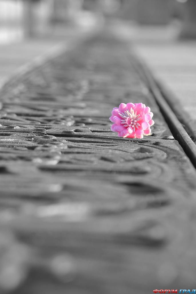 pink-414
