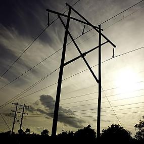 powerlines-421