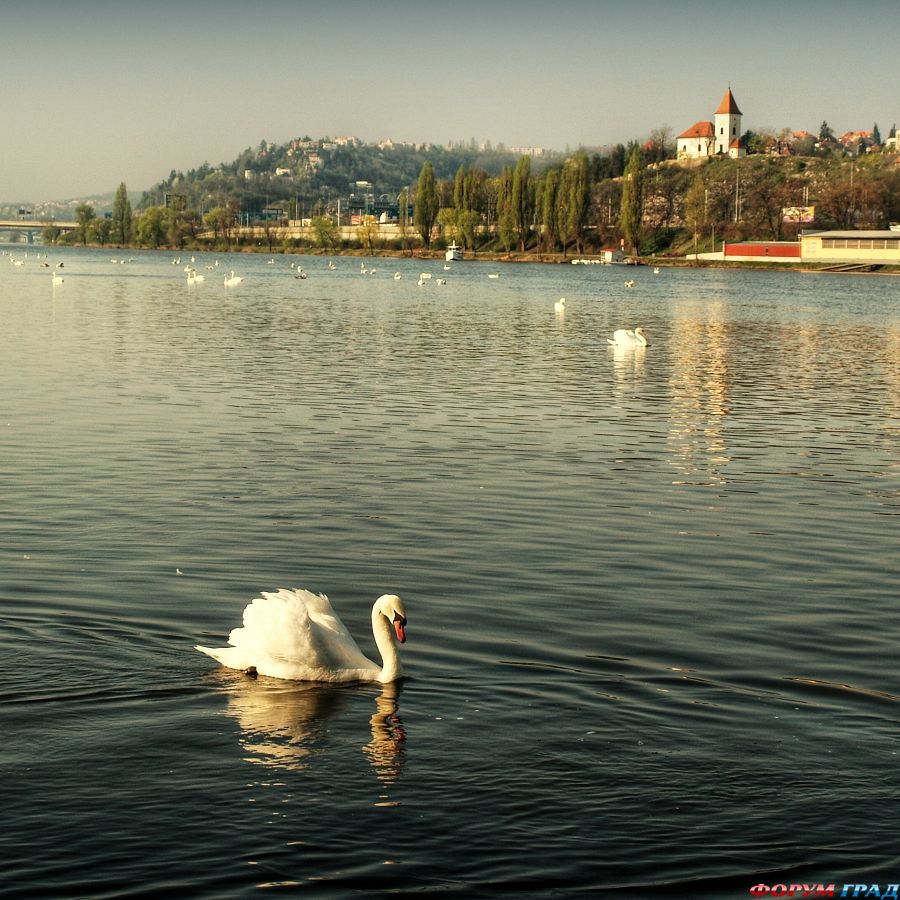 prague-river-vltava-422
