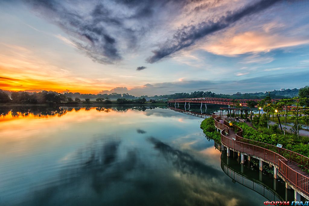 punggol-wetsland-425