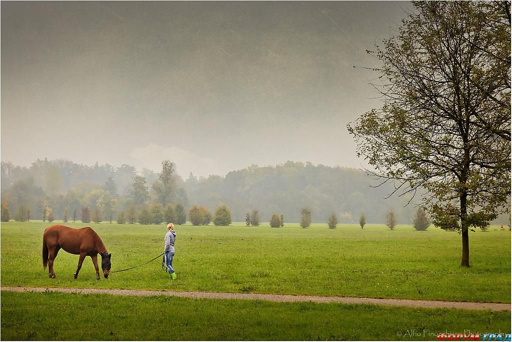 saturday-morning-465