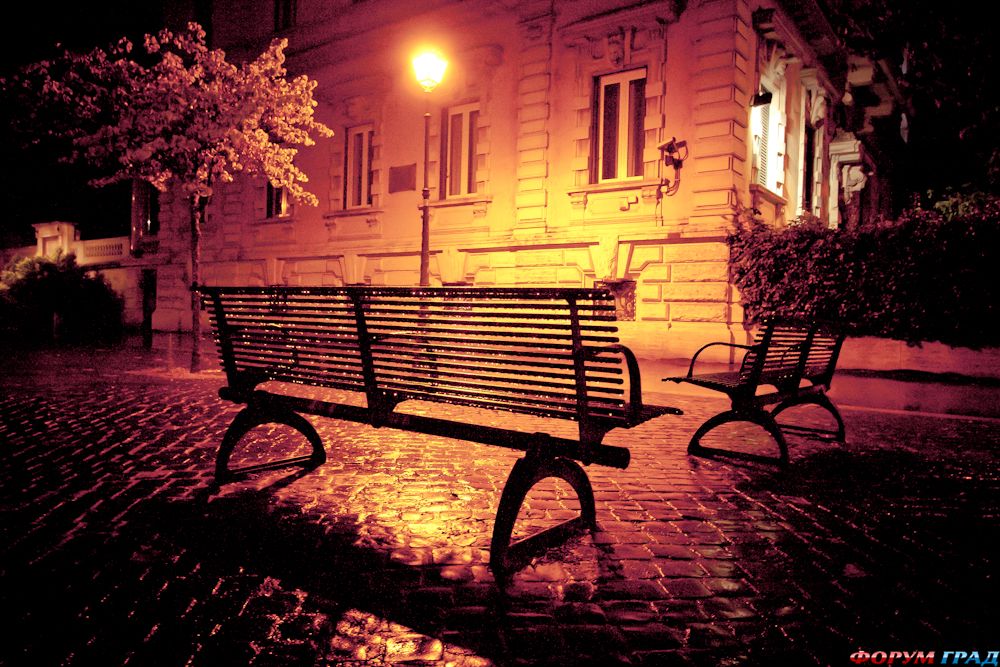 silence-after-the-rain-469