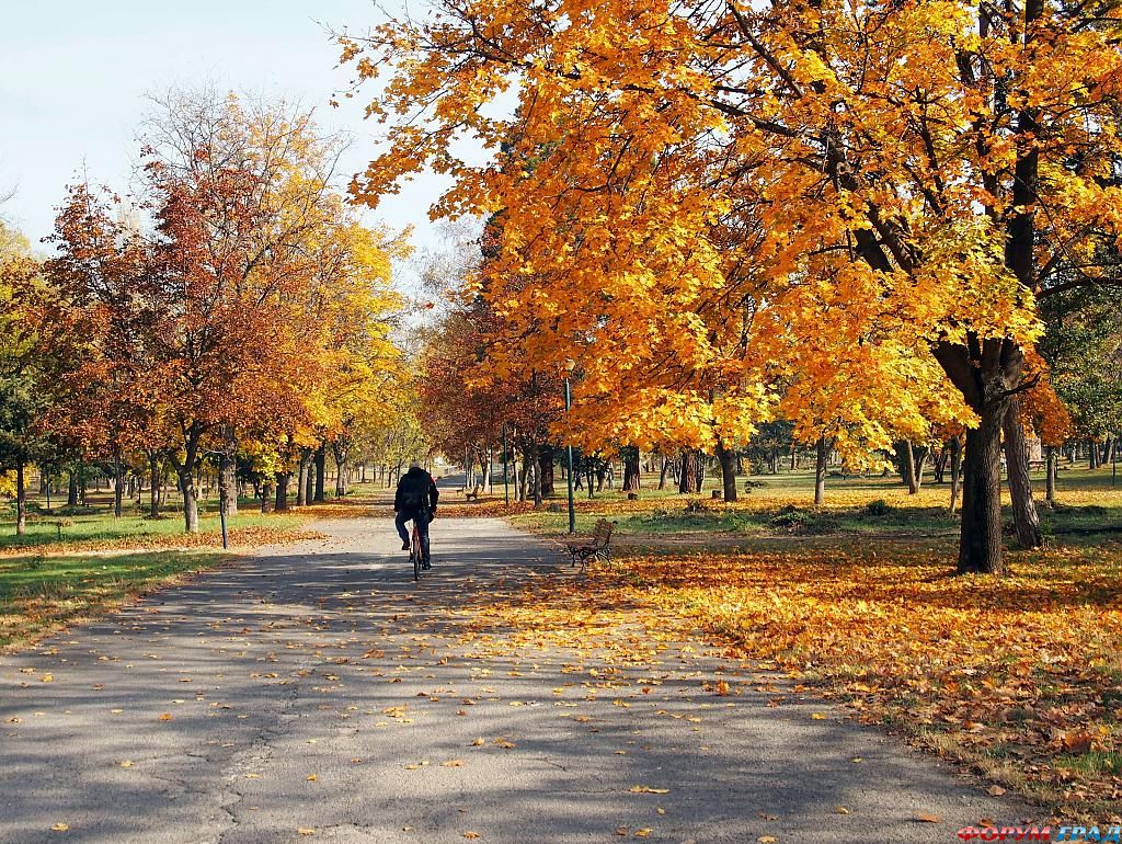 skopje---city-park-a478