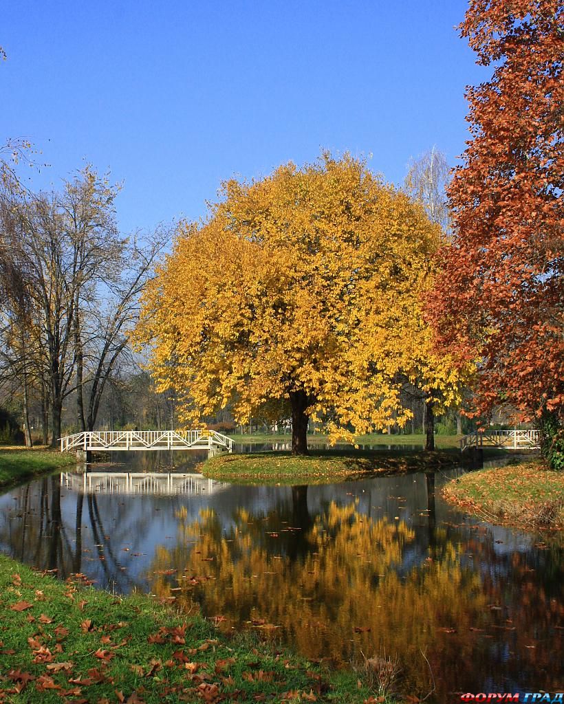 skopje---city-park-b479