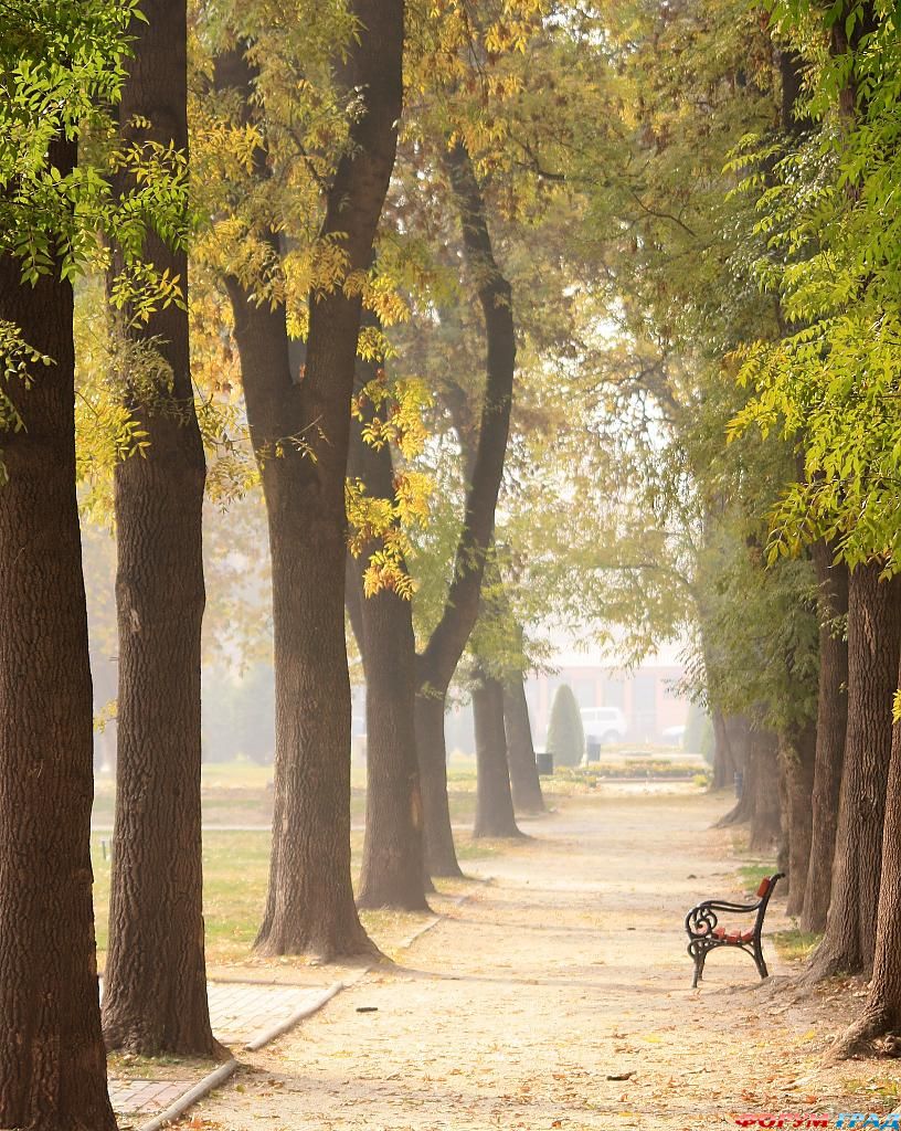 skopje-city-park-a480