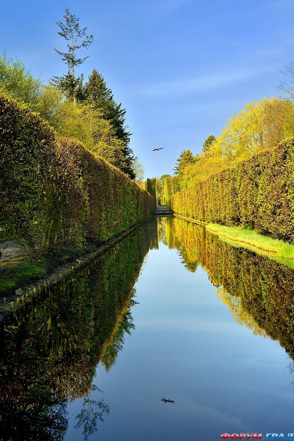 spring-in-the-oliwa-park-496