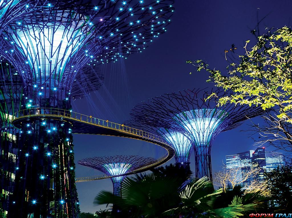 supertree-grove--gardens-by-the-bay-singapore-525