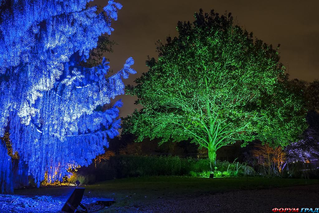 syon-park-1-london-532