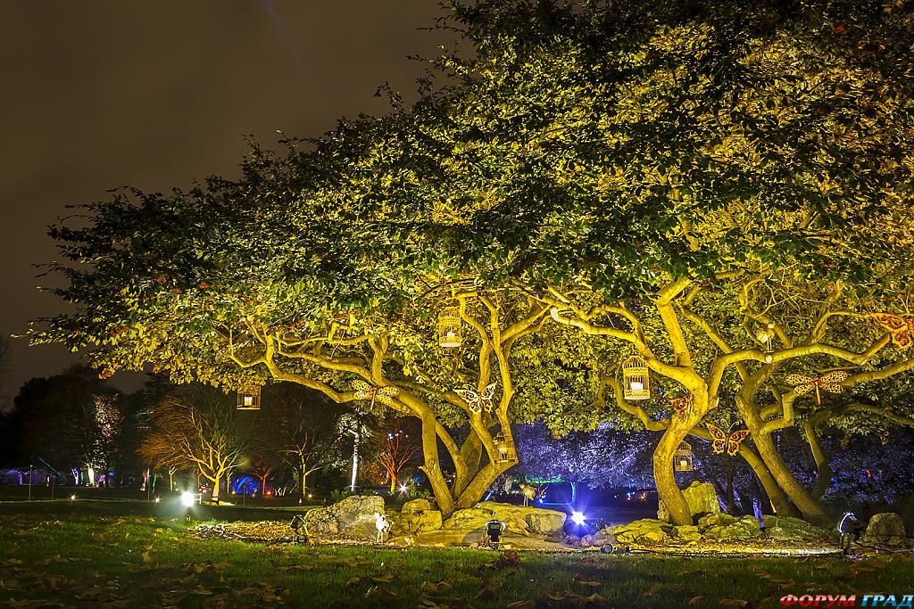 syon-park-2-london-533