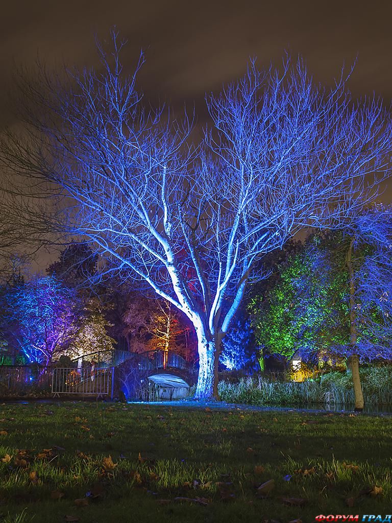 syon-park-3-london-534