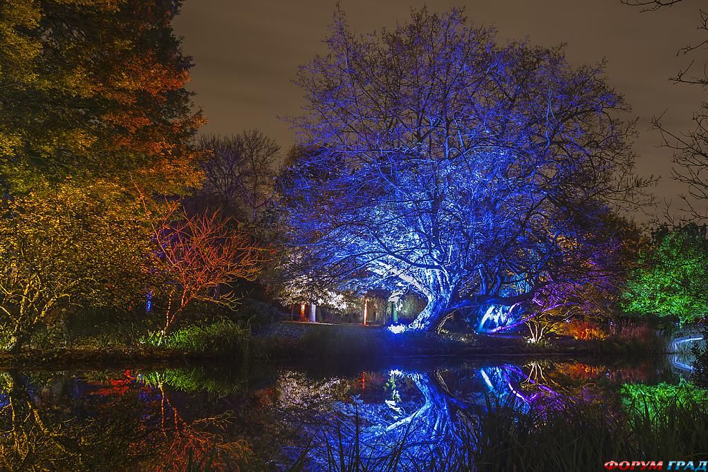 syon-park-4-london-535