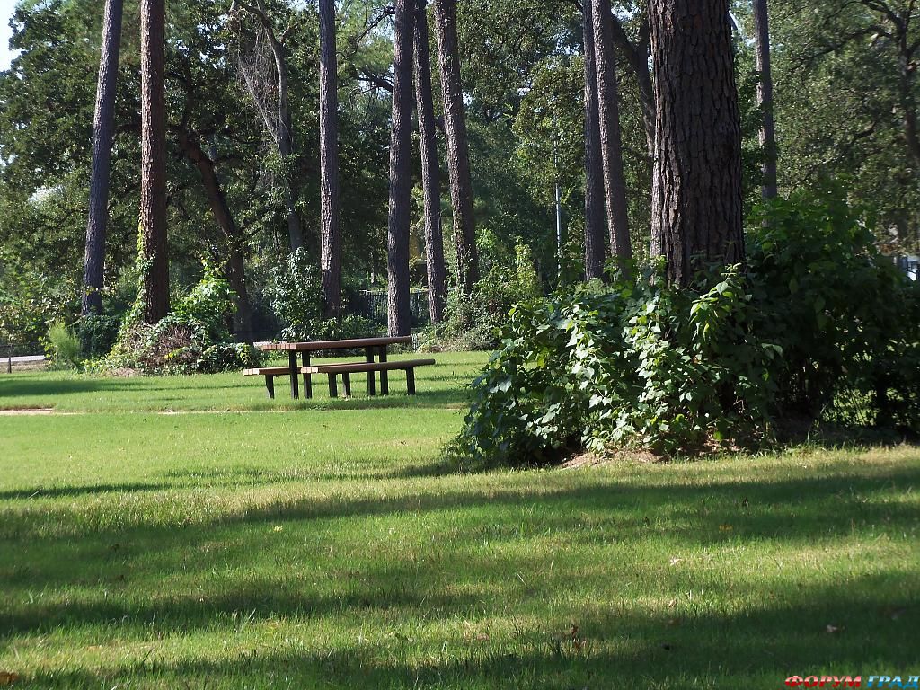 the-picnic-table-564