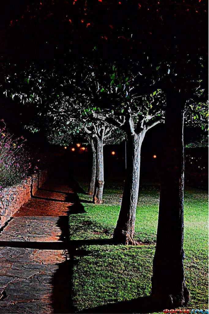 there-is-light-around-573