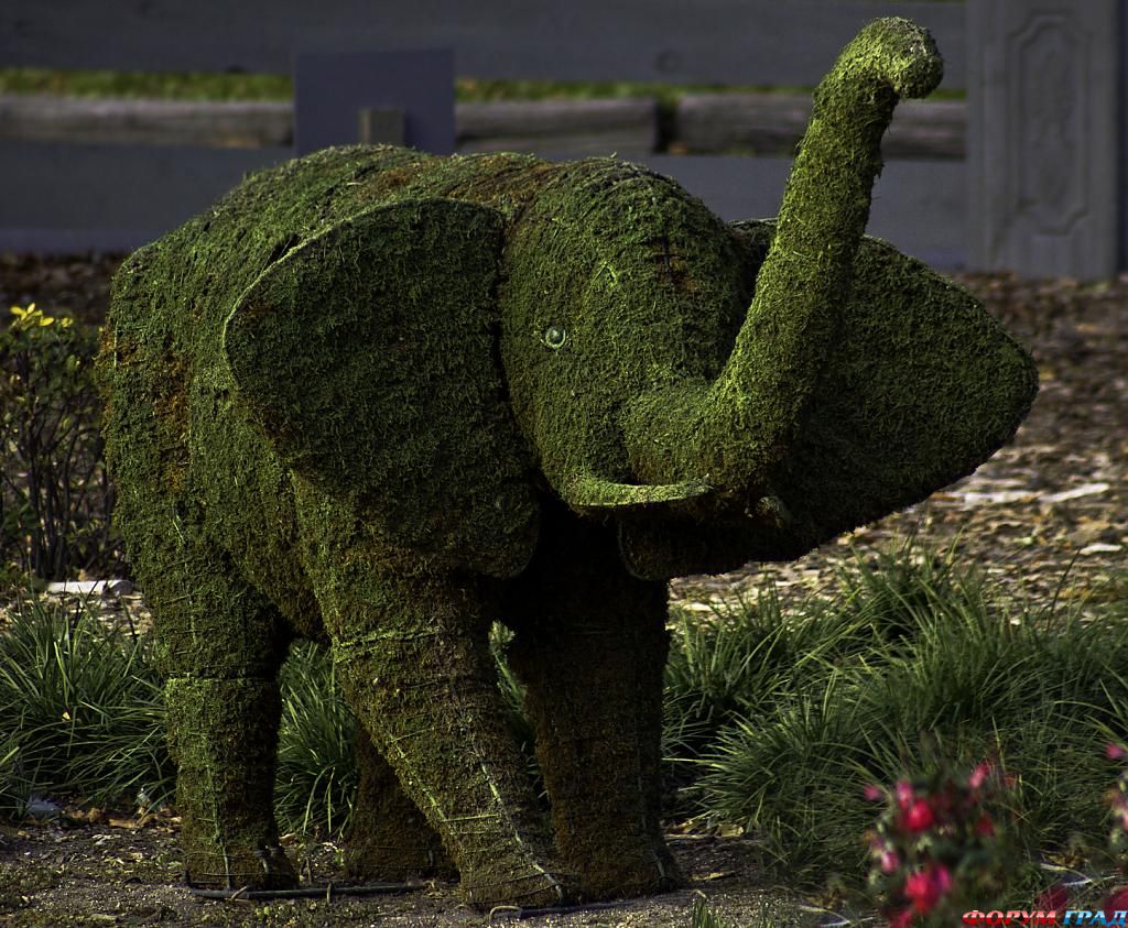 topiary-pachyderm-578