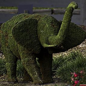 topiary-pachyderm-578