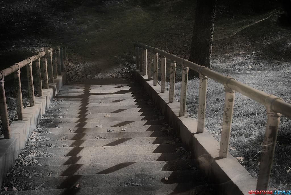 Современные городские парки