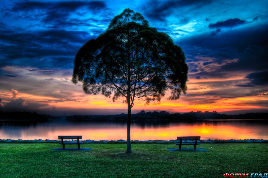 Современные городские парки