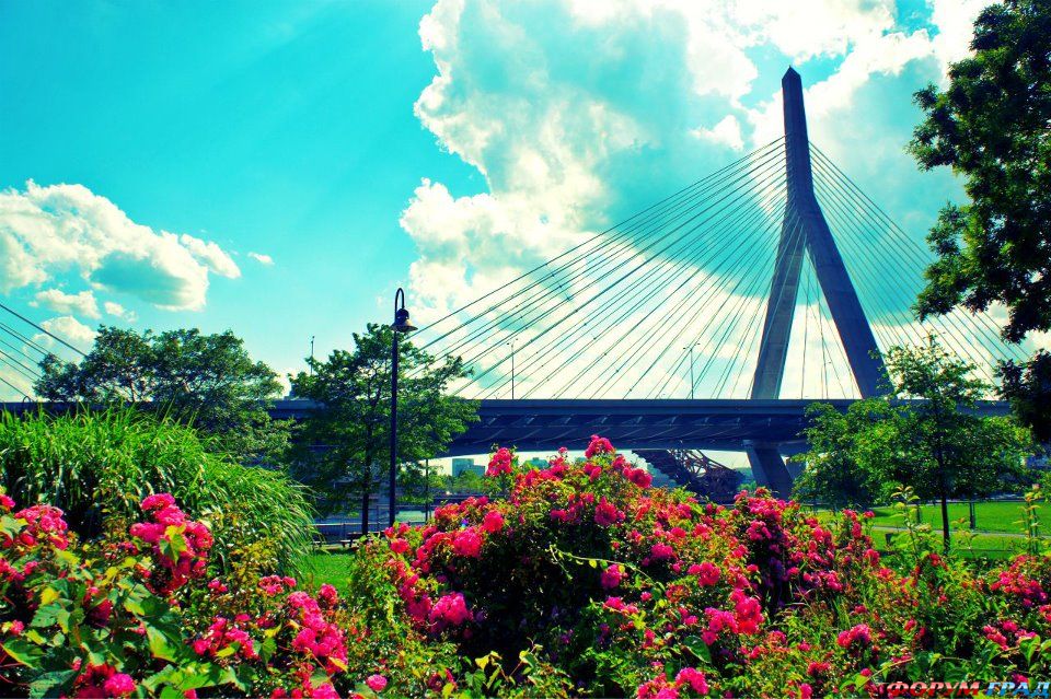 Лучшие городские парки