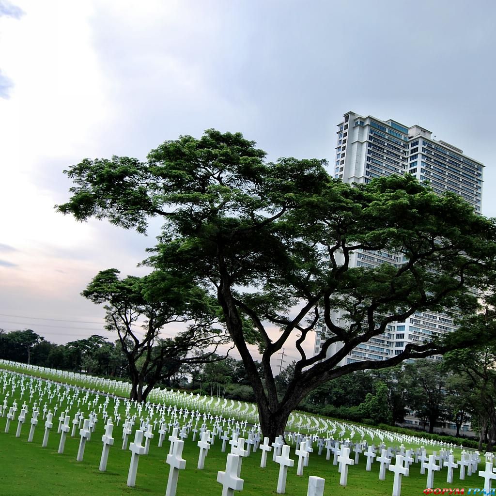 Лучшие городские парки