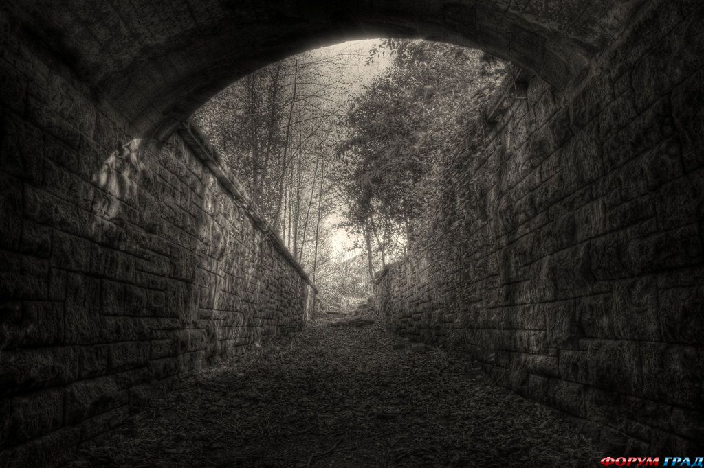 Лучшие городские парки