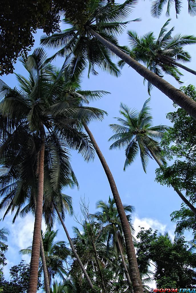 Современные городские парки