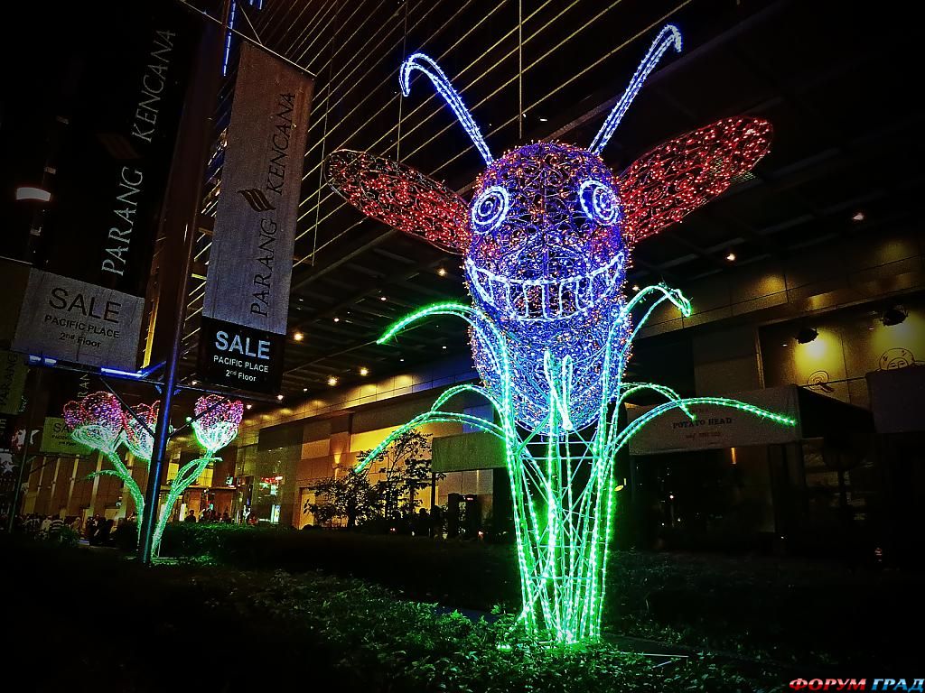 национальные парки мира