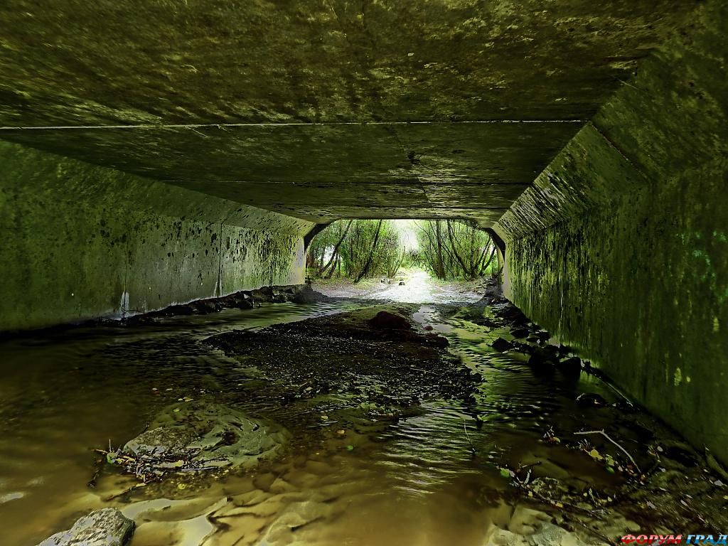 Современные городские парки